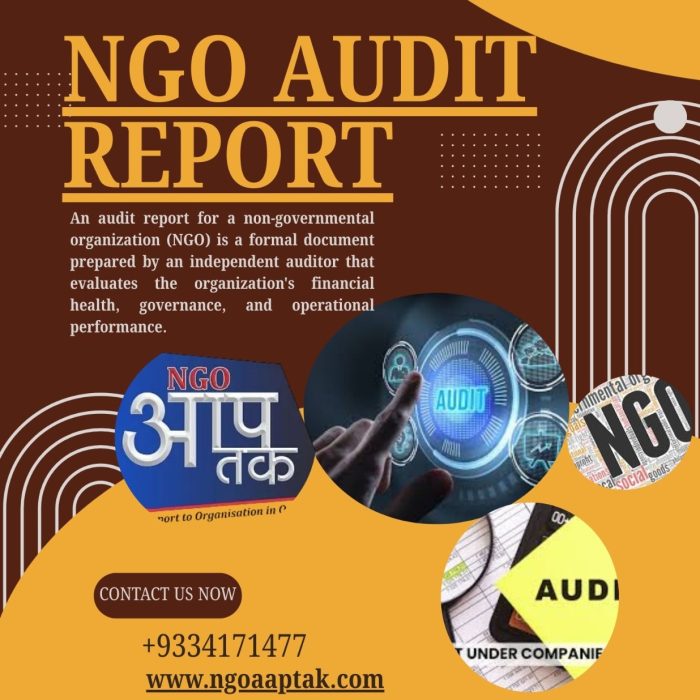 Ngo Audit Report