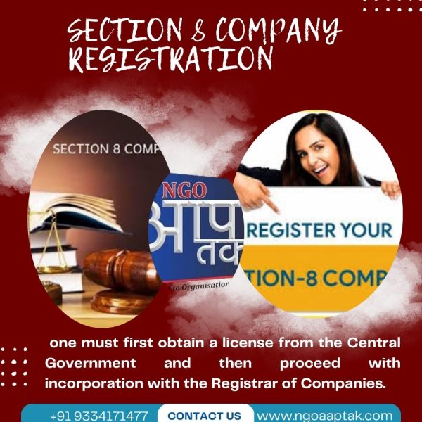 Section 8 Company Registration